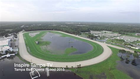 Tampa bay downs tampa fl - Tampa Bay Downs is the only Thoroughbred race track on the West Coast of Florida, and is known as one of America's oldest and most well-maintained racetracks. Tampa Bay Downs first opened its doors in 1926 …
